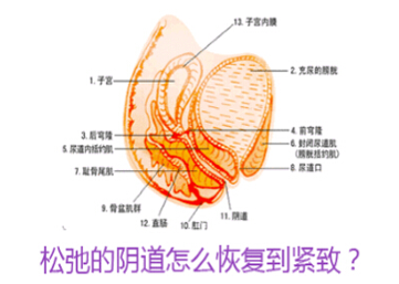 产后是不是真的会导致阴道松弛？产后阴道松弛要如何恢复？