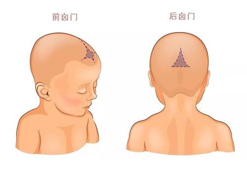 漂亮妈妈月嫂温馨提示：新生儿这3个部位很脆弱，护理不当会受伤