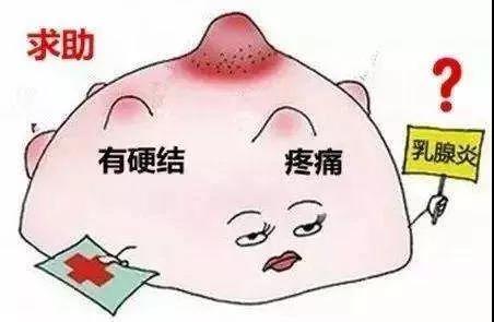 怎样产后恢复，产后哺乳期碰上乳腺炎，简直要命！应该怎么办？