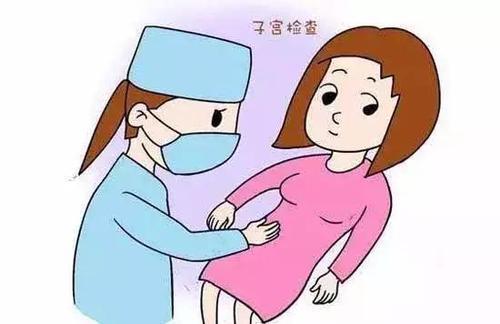 产后恢复加盟中心，产后修复子宫吃什么药好？