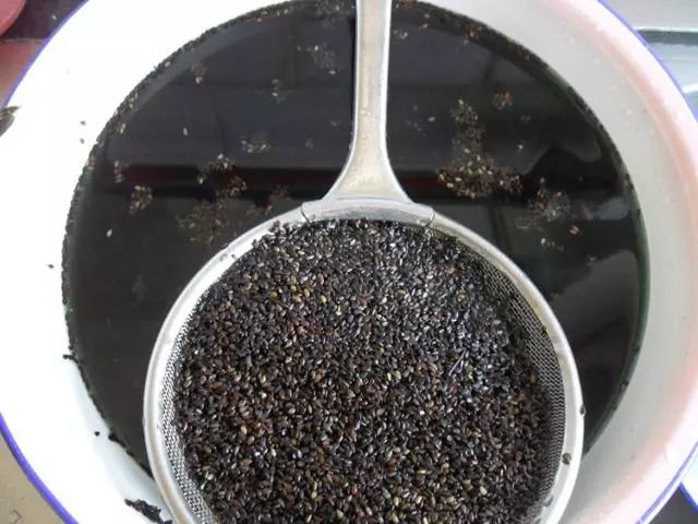 产后奶水不足？这8种食物可催奶，尤其是第八种！